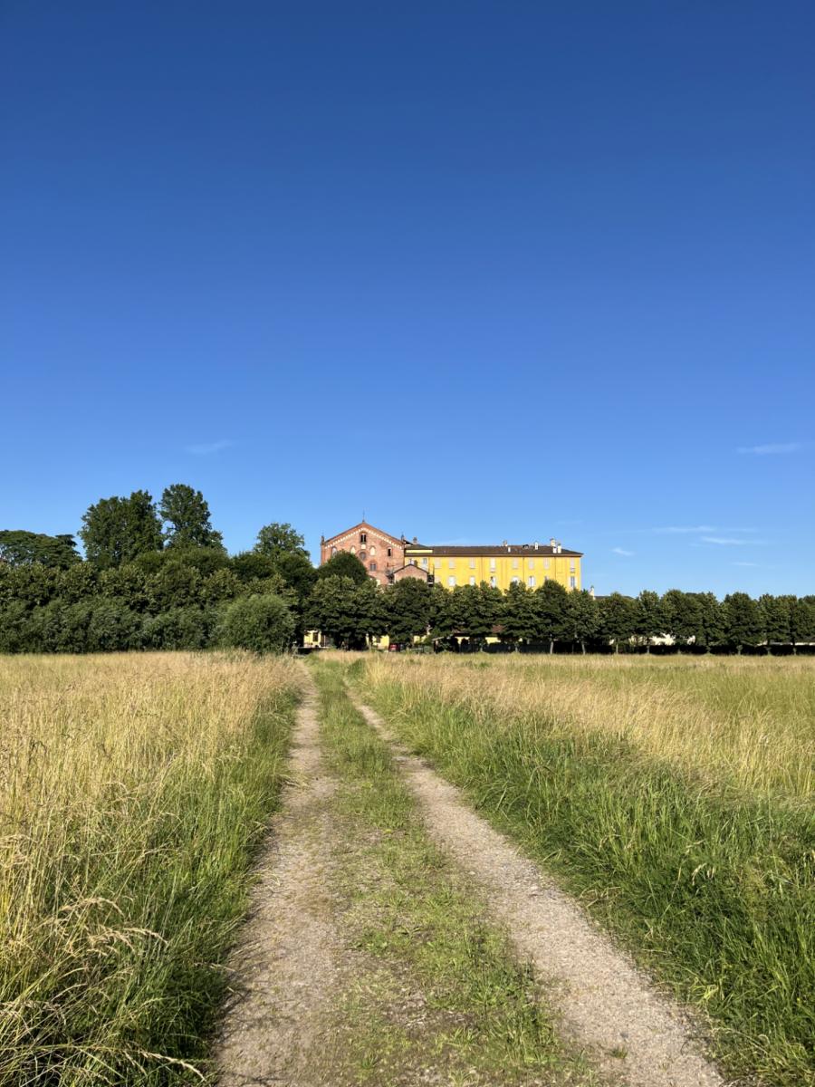 sentiero in vista dell'abbazia